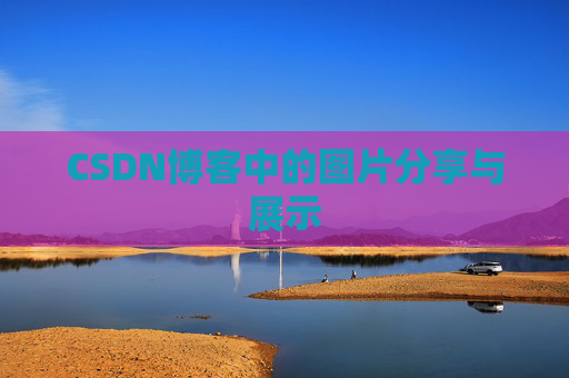 CSDN博客中的图片分享与展示